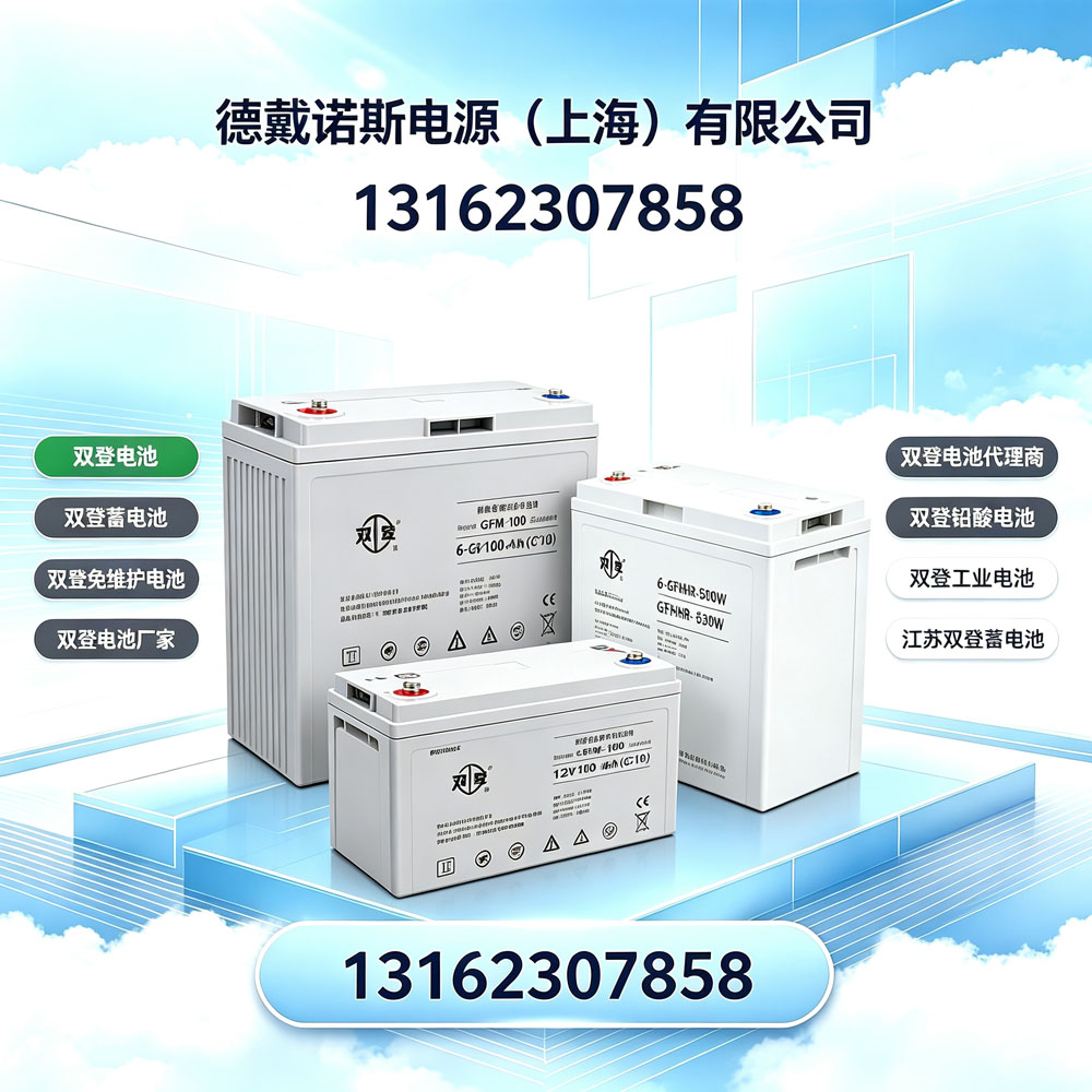 2026行业标杆双登电池厂家授权代理商 江苏双登蓄电池免维护电池全套解决方案
